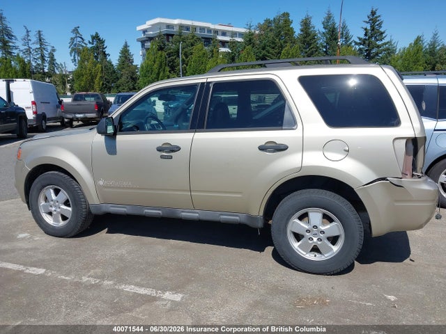 2011 Ford Escape Xlt მანქანა იყიდება აუქციონზე, vin: 1FMCU0DGXBKB94032, აუქციონის ნომერი: 40071544