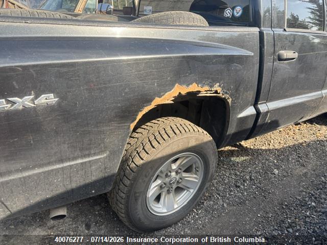 2011 Ram Dakota Sxt მანქანა იყიდება აუქციონზე, vin: 1D7RW3GP8BS605763, აუქციონის ნომერი: 40076277