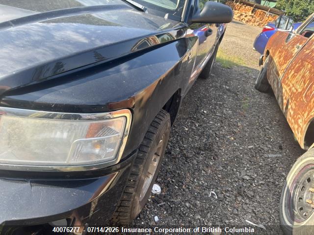 2011 Ram Dakota Sxt მანქანა იყიდება აუქციონზე, vin: 1D7RW3GP8BS605763, აუქციონის ნომერი: 40076277