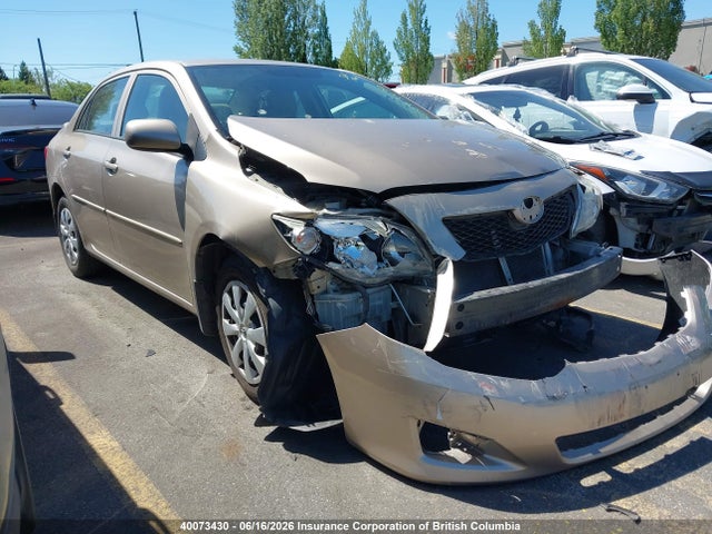 2010 Toyota Corolla S/le/xle მანქანა იყიდება აუქციონზე, vin: 2T1BU4EE4AC249675, აუქციონის ნომერი: 40073430