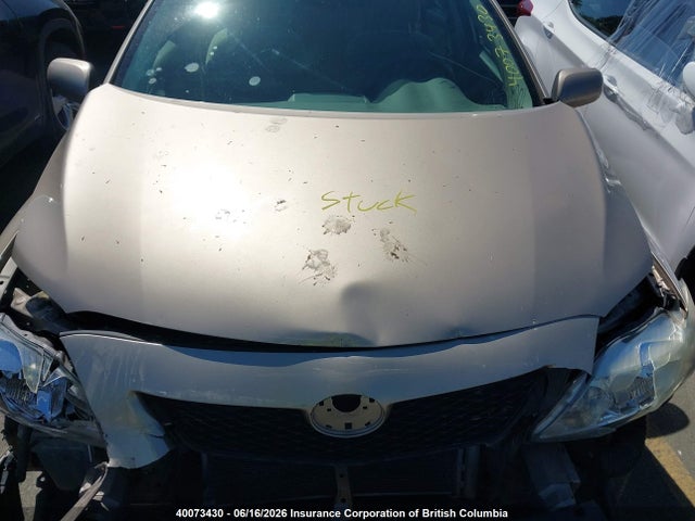 2010 Toyota Corolla S/le/xle მანქანა იყიდება აუქციონზე, vin: 2T1BU4EE4AC249675, აუქციონის ნომერი: 40073430