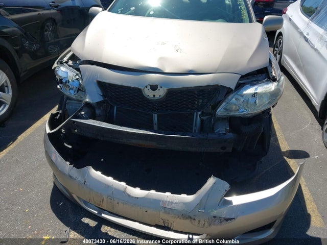 2010 Toyota Corolla S/le/xle მანქანა იყიდება აუქციონზე, vin: 2T1BU4EE4AC249675, აუქციონის ნომერი: 40073430