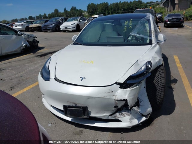 Tesla MODEL 3 2021 5YJ3E1EA5MF061552 Image 13