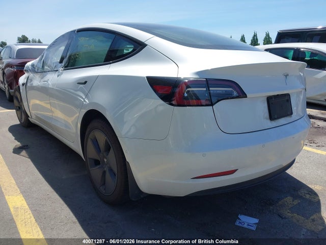 Tesla MODEL 3 2021 5YJ3E1EA5MF061552 Image 3