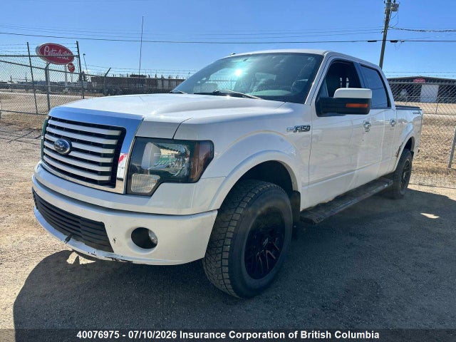 40076975 :رقم المزاد ، 1FTFW1E64BFA52775 vin ، 2011 Ford F150 مزاد بيع