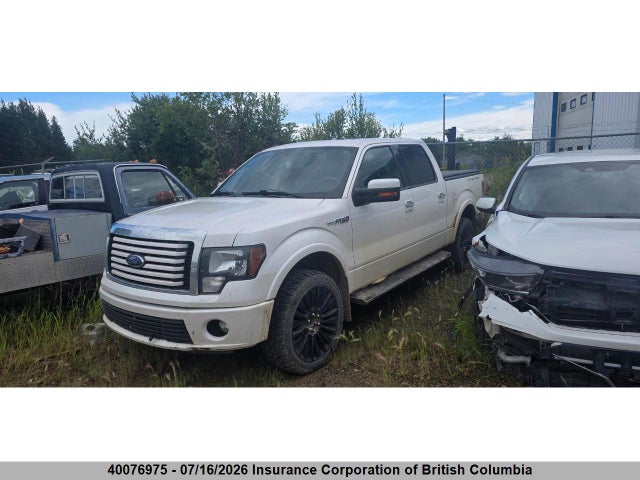 40076975 :رقم المزاد ، 1FTFW1E64BFA52775 vin ، 2011 Ford F150 مزاد بيع