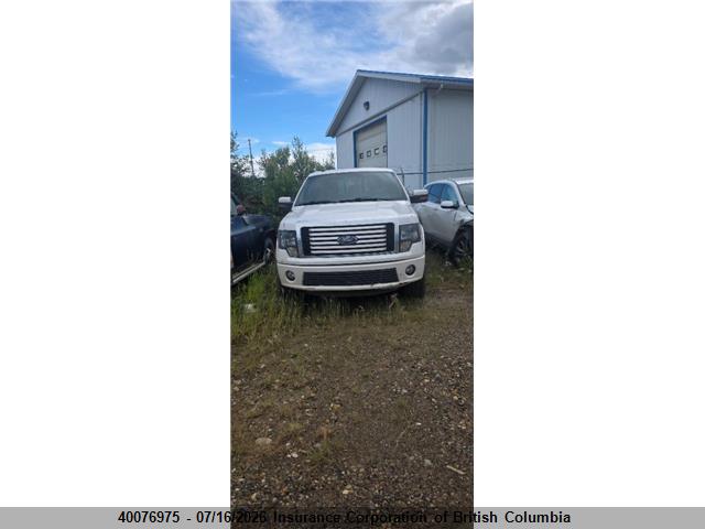 40076975 :رقم المزاد ، 1FTFW1E64BFA52775 vin ، 2011 Ford F150 مزاد بيع