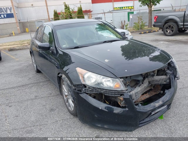2011 Honda Accord Exl მანქანა იყიდება აუქციონზე, vin: 1HGCP2F81BA803920, აუქციონის ნომერი: 40077036