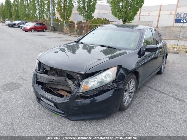 2011 Honda Accord Exl მანქანა იყიდება აუქციონზე, vin: 1HGCP2F81BA803920, აუქციონის ნომერი: 40077036