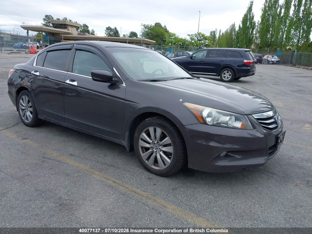 2011 Honda Accord Exl მანქანა იყიდება აუქციონზე, vin: 1HGCP3F88BA800924, აუქციონის ნომერი: 40077137