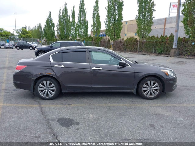 2011 Honda Accord Exl მანქანა იყიდება აუქციონზე, vin: 1HGCP3F88BA800924, აუქციონის ნომერი: 40077137