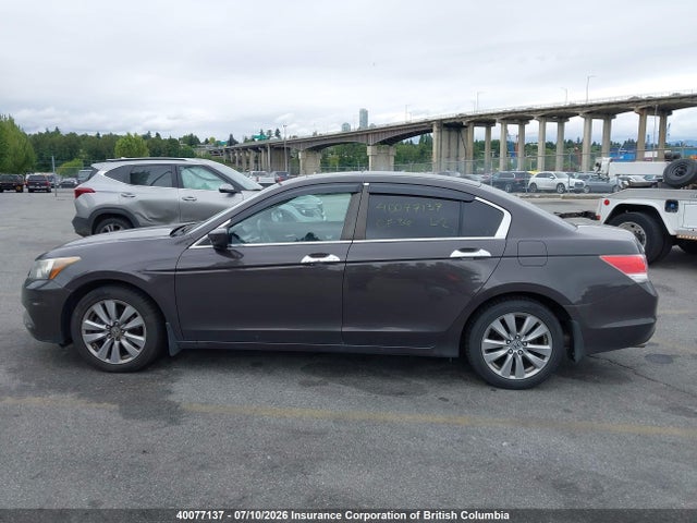 2011 Honda Accord Exl მანქანა იყიდება აუქციონზე, vin: 1HGCP3F88BA800924, აუქციონის ნომერი: 40077137