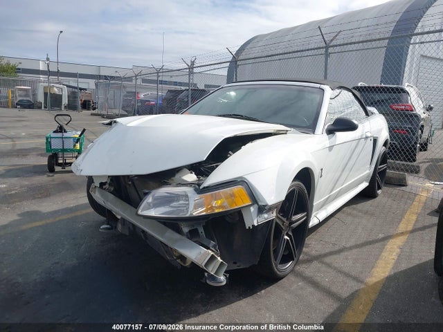 40077157 :رقم المزاد ، 1FAFP46V3XF164727 vin ، 1999 Ford Mustang Cobra Svt مزاد بيع