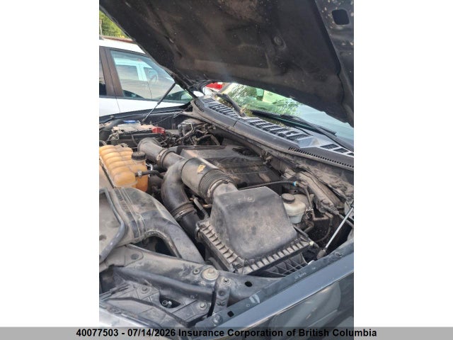 Aukcja sprzedaży 2017 Ford F150, vin: 1FTFW1EG8HKC57069, numer aukcji: 40077503