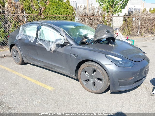 Продаж на аукціоні авто 2023 Tesla Model 3, vin: 5YJ3E1EA1PF682467, номер лоту: 40077878