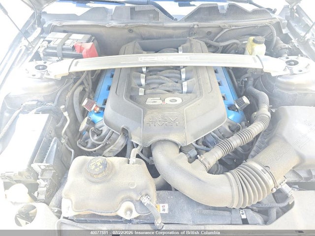 40077881 :رقم المزاد ، 1ZVBP8CF1E5312564 vin ، 2014 Ford Mustang Gt مزاد بيع