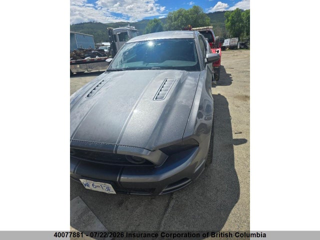 40077881 :رقم المزاد ، 1ZVBP8CF1E5312564 vin ، 2014 Ford Mustang Gt مزاد بيع