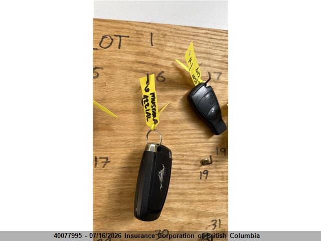 Ford MUSTANG GT 2024 1FA6P8CF7R5426469 Image 14