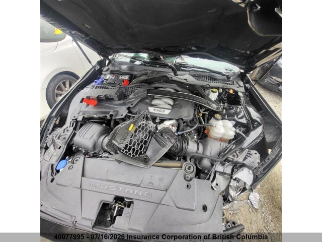 Ford MUSTANG GT 2024 1FA6P8CF7R5426469 Image 8