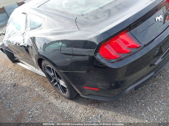 Ford Mustang 2022 1FA6P8TH5N5117031 Image 3