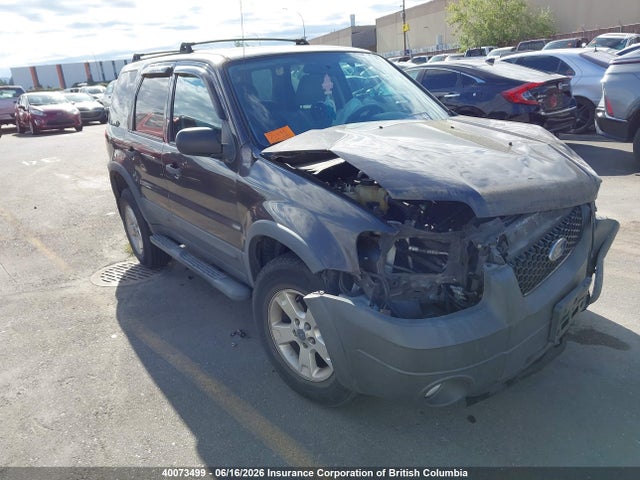 40073499 :رقم المزاد ، 1FMYU03127KA00345 vin ، 2007 Ford Escape Xlt مزاد بيع