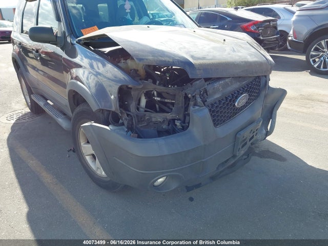 40073499 :رقم المزاد ، 1FMYU03127KA00345 vin ، 2007 Ford Escape Xlt مزاد بيع