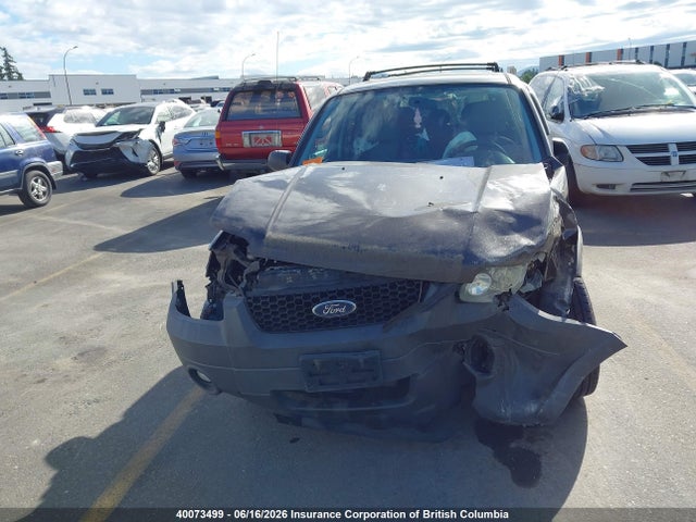 40073499 :رقم المزاد ، 1FMYU03127KA00345 vin ، 2007 Ford Escape Xlt مزاد بيع