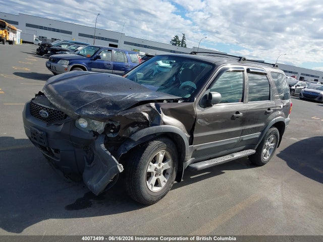 40073499 :رقم المزاد ، 1FMYU03127KA00345 vin ، 2007 Ford Escape Xlt مزاد بيع