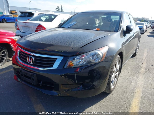 Продаж на аукціоні авто 2010 Honda Accord Ex, vin: 5KBCP3F72AB501698, номер лоту: 40069954