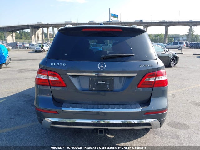Mercedes-Benz Ml 350 Bluetec 2015 4JGDA2EB0FA609981 Image 17