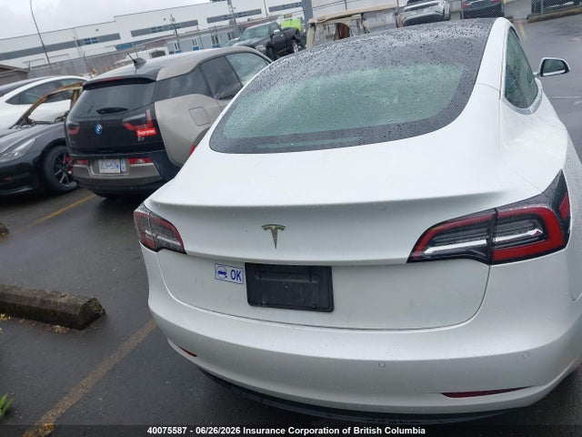 2020 Tesla Model 3 მანქანა იყიდება აუქციონზე, vin: 5YJ3E1EAXLF738853, აუქციონის ნომერი: 40075587