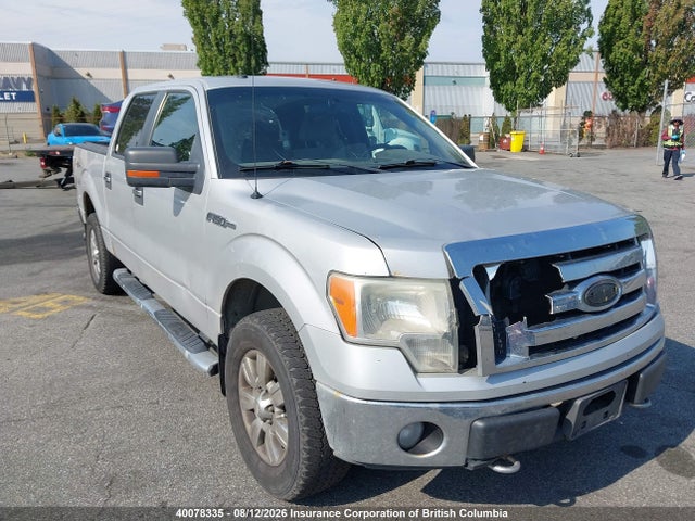 Продаж на аукціоні авто 2009 Ford F150, vin: 1FTRW14889FA71534, номер лоту: 40078335