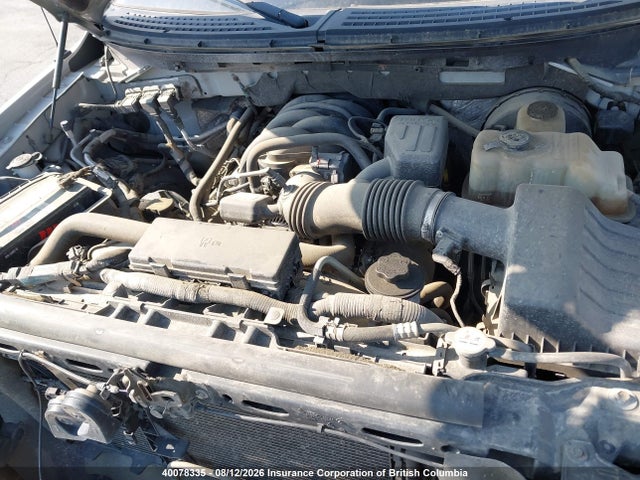 Продаж на аукціоні авто 2009 Ford F150, vin: 1FTRW14889FA71534, номер лоту: 40078335