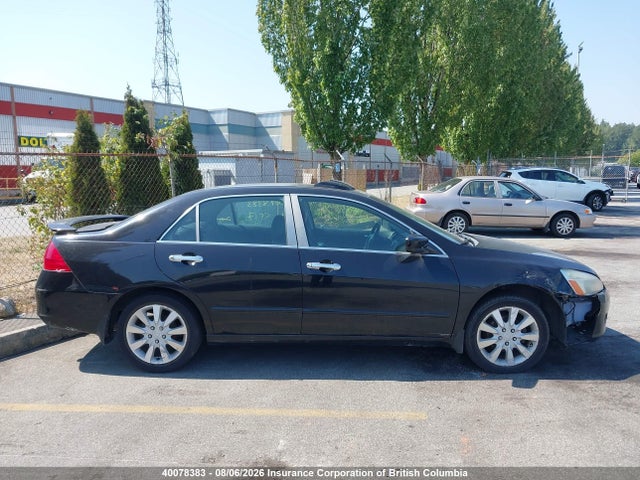 2006 Honda Accord Ex-l მანქანა იყიდება აუქციონზე, vin: 1HGCM56836A813087, აუქციონის ნომერი: 40078383