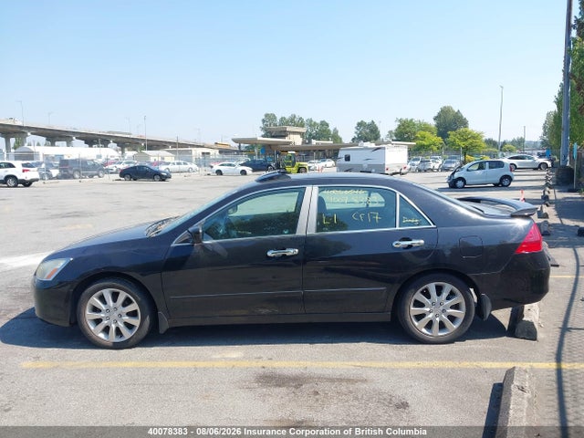 2006 Honda Accord Ex-l მანქანა იყიდება აუქციონზე, vin: 1HGCM56836A813087, აუქციონის ნომერი: 40078383