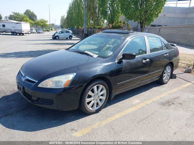 2006 Honda Accord Ex-l მანქანა იყიდება აუქციონზე, vin: 1HGCM56836A813087, აუქციონის ნომერი: 40078383