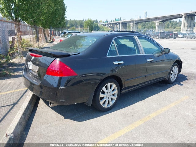 2006 Honda Accord Ex-l მანქანა იყიდება აუქციონზე, vin: 1HGCM56836A813087, აუქციონის ნომერი: 40078383