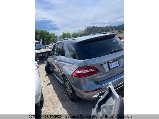 Mercedes-Benz Ml 350 Bluetec 2014 4JGDA2EB6EA322532 Image 3