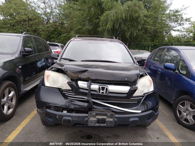 Продаж на аукціоні авто 2007 Honda Cr-v Ex, vin: 5J6RE48587L806560, номер лоту: 40075197