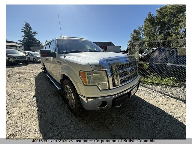 40078991 :رقم المزاد ، 1FTFW1EV6AFB56545 vin ، 2010 Ford F150 مزاد بيع