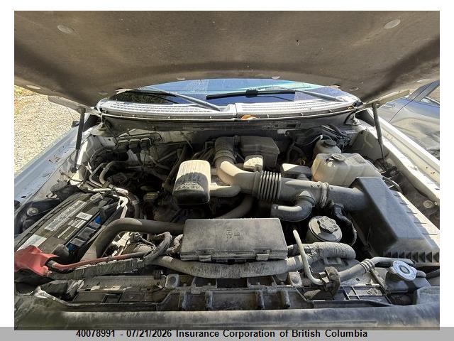Aukcja sprzedaży 2010 Ford F150, vin: 1FTFW1EV6AFB56545, numer aukcji: 40078991