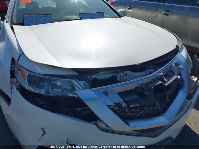 2009 Acura Tl მანქანა იყიდება აუქციონზე, vin: 19UUA86219A800224, აუქციონის ნომერი: 40077705