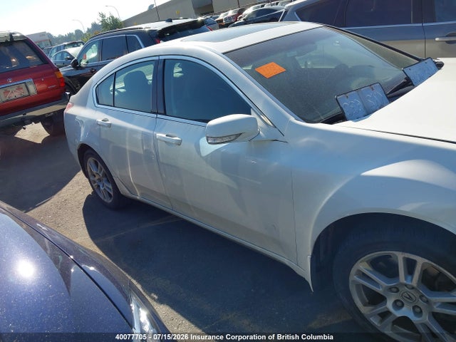 2009 Acura Tl მანქანა იყიდება აუქციონზე, vin: 19UUA86219A800224, აუქციონის ნომერი: 40077705