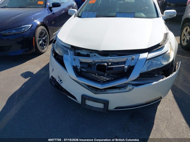 40077705 :رقم المزاد ، 19UUA86219A800224 vin ، 2009 Acura Tl مزاد بيع