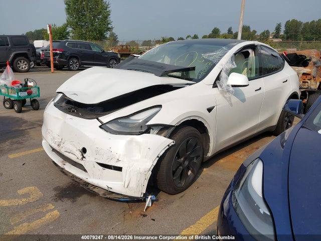 Tesla Model Y 2023 7SAYGDEE9PF756712 Image 2