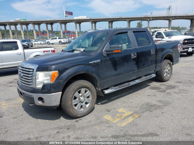 40079416 :رقم المزاد ، 1FTFW1EV2AFA38895 vin ، 2010 Ford F150 مزاد بيع