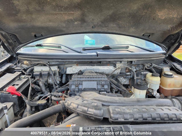 40079531 :رقم المزاد ، 1FTPW14V17FB58203 vin ، 2007 Ford F150 مزاد بيع