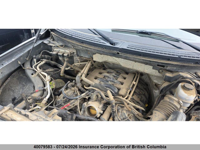 Aukcja sprzedaży 2011 Ford F150, vin: 1FTFW1EF0BFC61611, numer aukcji: 40079583