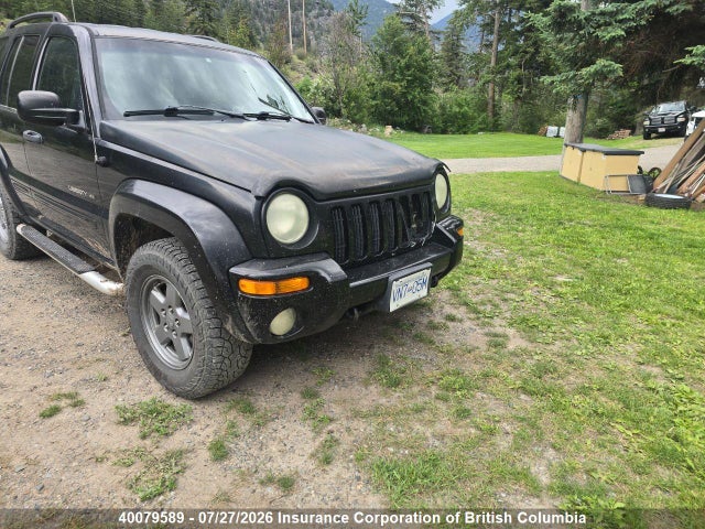 Auction sale of the 2002 Jeep Liberty Limited, vin: 1J4GL58K52W305786, lot number: 40079589
