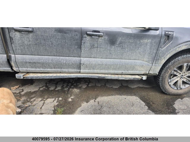 Продажа на аукционе авто 2023 Ford F150, vin: 1FTFW1E89PKE91602, номер лота: 40079595